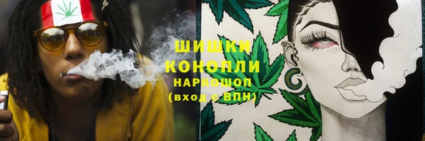 прущая мука Верея